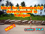 Commercial development - Tubigon - along Highway